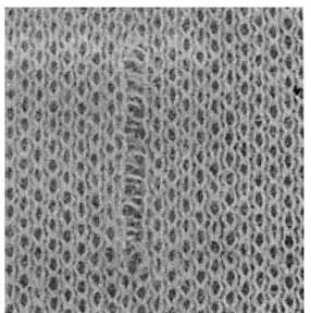 纺织干货 针织面料常见疵点及原因分析大全